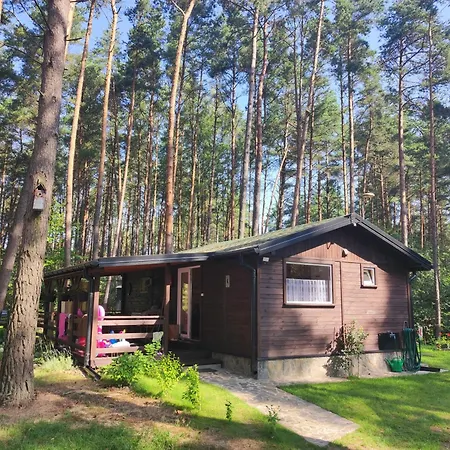 Pod Sosnami * Grodziczno