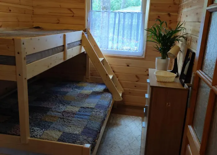 Pod Sosnami Holiday home *